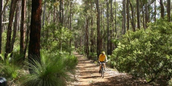 webguidenevada|Join a Guided Bushwalk: Discover the flora and fauna on a guided bushwalk.