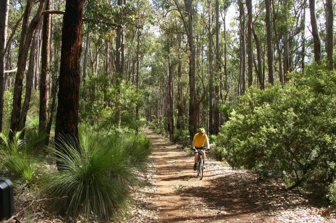 webguidenevada|Join a Guided Bushwalk: Discover the flora and fauna on a guided bushwalk.
