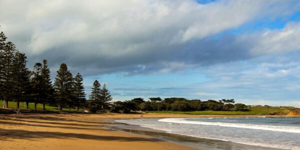 webguidenevada|Torquay Front Beach: Surfing and Beach Activities
